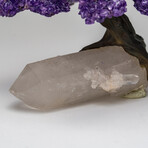 The Harmony Tree // Genuine Amethyst Clustered Gemstone Tree on Large Clear Quartz Crystal Matrix // Large