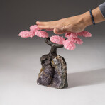 The Love Tree // Genuine Custom Rose Quartz Clustered Gemstone Tree on Amethyst Matrix // V1