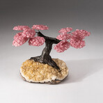 The Comfort Tree // Genuine Custom Rose Quartz Clustered Gemstone Tree on Citrine Matrix // V1