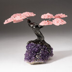 The Love Tree // Genuine Custom Rose Quartz Clustered Gemstone Tree on Amethyst Matrix // V2