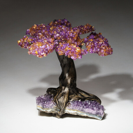 The Tranquility Tree // Genuine Ametrine Clustered Gemstone Tree on Amethyst Matrix // Medium