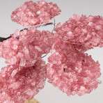 The Comfort Tree // Genuine Custom Rose Quartz Clustered Gemstone Tree on Citrine Matrix // V1