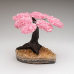 The Comfort Tree // Genuine Rose Quartz Clustered Gemstone Tree on Citrine Matrix // Medium