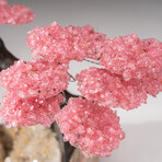 The Wellness Tree // Genuine Custom Rose Quartz Clustered Gemstone Tree on White Quartz Matrix