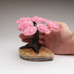 The Comfort Tree // Genuine Rose Quartz Clustered Gemstone Tree on Citrine Matrix // Medium