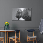 Black and White Bison (12"H  x 16"W  x  0.13"D)