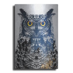 Night Owl (16"H  x 12"W  x  0.13"D)