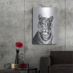 Black and White Tiger (16"H  x 12"W  x  0.13"D)