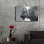 Black and White Bison (12"H  x 16"W  x  0.13"D)