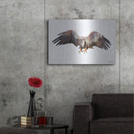 Arctic Eagle (12"H  x 16"W  x  0.13"D)