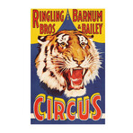Circus // Tiger // Vintage Poster (17"H x 11"W x .01"D)