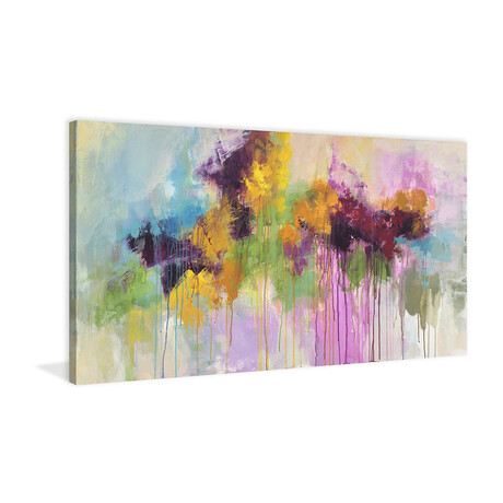 Flower Passion Painting Print on Wrapped Canvas (12"W x 6"H x 1.5"D)