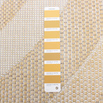 Veranda Modern // Gold Rug (7'3"L x 5'3"W)