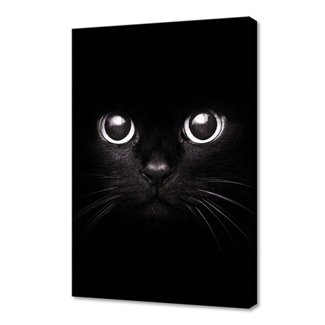 The Black Cat (12"H x 8"W x 0.75"D)