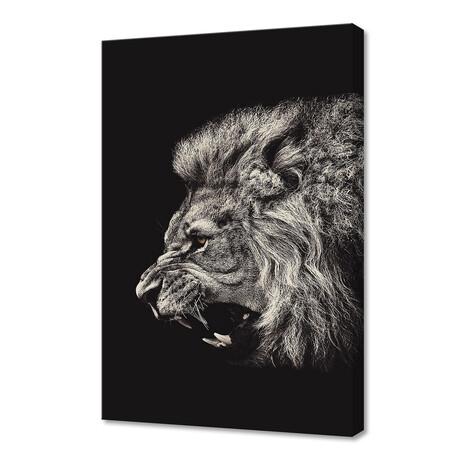Angry Male Lion (8"W x 12"H x 0.2"D)