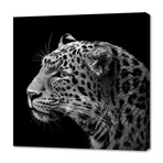 Leopard II (12"H x 12"W x 0.75"D)