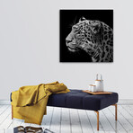 Leopard II (12"H x 12"W x 0.75"D)