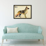 "German Shepherd" Dimensional Graphic Collage Framed Under Tempered Glass Wall Art