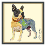 "Boston Terrier 1" Dimensional Graphic Collage Framed Under Tempered Glass Wall Art