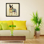 "Boston Terrier 1" Dimensional Graphic Collage Framed Under Tempered Glass Wall Art