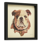 "English Bulldog Pup" Dimensional Graphic Collage Framed Under Tempered Glass Wall Art