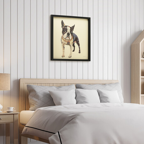 "Boston Terrier 2" Dimensional Graphic Collage Framed Under Tempered Glass Wall Art