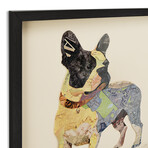 "Boston Terrier 1" Dimensional Graphic Collage Framed Under Tempered Glass Wall Art