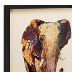 "Elephant" Dimensional Graphic Collage Framed Under Glass Wall Art