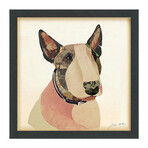 "American Bull Terrier" Dimensional Graphic Collage Framed Under Tempered Glass Wall Art