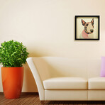 "American Bull Terrier" Dimensional Graphic Collage Framed Under Tempered Glass Wall Art