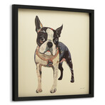 "Boston Terrier 2" Dimensional Graphic Collage Framed Under Tempered Glass Wall Art