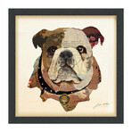 "English Bulldog Pup" Dimensional Graphic Collage Framed Under Tempered Glass Wall Art