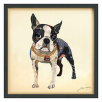 "Boston Terrier 2" Dimensional Graphic Collage Framed Under Tempered Glass Wall Art