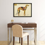 "Greyhound" Dimensional Graphic Collage Framed Under Tempered Glass Wall Art