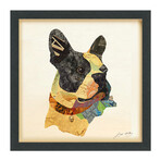 "Boston Terrier Closeup" Dimensional Graphic Collage Framed Under Tempered Glass Wall Art