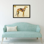 "Greyhound" Dimensional Graphic Collage Framed Under Tempered Glass Wall Art