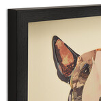 "American Bull Terrier" Dimensional Graphic Collage Framed Under Tempered Glass Wall Art