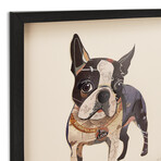 "Boston Terrier 2" Dimensional Graphic Collage Framed Under Tempered Glass Wall Art