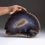 Genuine Polished Blue Banded Agate Slice + Acrylic Display Stand