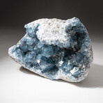 Genuine Blue Celestite Cluster Geode // V1