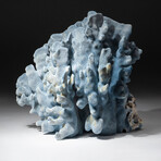 Genuine Blue Ridge Coral // V2