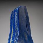 Genuine Polished Lapis Lazuli Freeform // V3