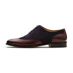 Wingtip Oxford // Burgundy + Navy Suede (US: 10)