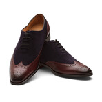 Wingtip Oxford // Burgundy + Navy Suede (US: 10)