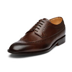 Longwing Brogue Derby // Dark Brown (US: 11)