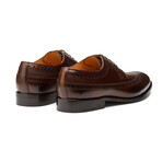 Longwing Brogue Derby // Dark Brown (US: 11)