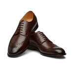 Longwing Brogue Derby // Dark Brown (US: 7)