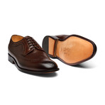 Longwing Brogue Derby // Dark Brown (US: 7)