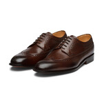 Longwing Brogue Derby // Dark Brown (US: 7)