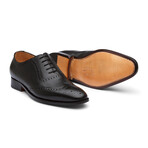 Wingtip Oxford Brogue // Black Grain (US: 9)